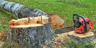 Best Firewood Processing and Delivery  in Argyle, TX